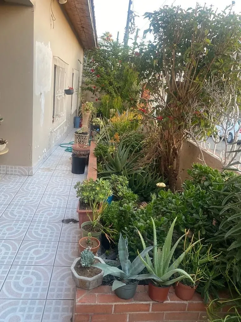 Casa en Venta – Colonia Morelos