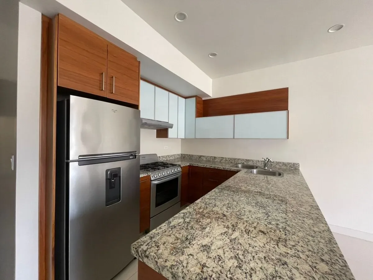 Departamento en Renta Chapultepec - BE