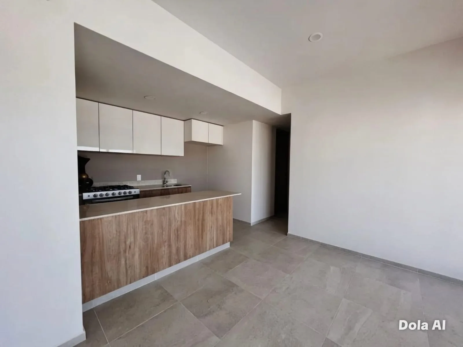 DEPARTAMENTO RIO TIJUANA -BE